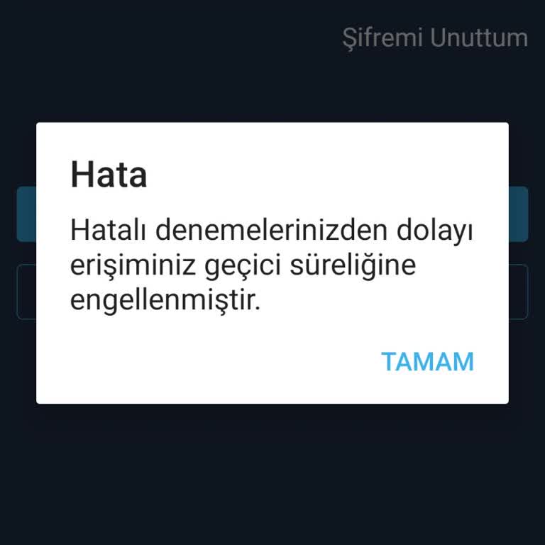 Şifre Sıfırlama Sonrası Erişim Engeli Sorunu