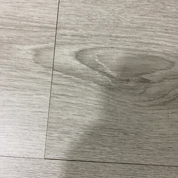 Kalitesiz Laminat Parke İle Hayal Kırıklığı