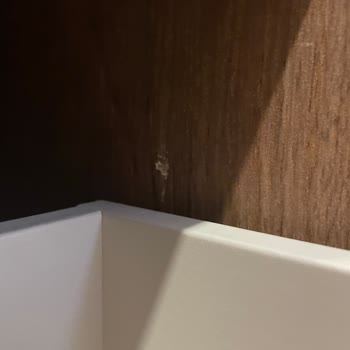 Enza Home Alışverişinde Yaşanan Sorunlar Ve Müşteri Memnuniyetsizliği