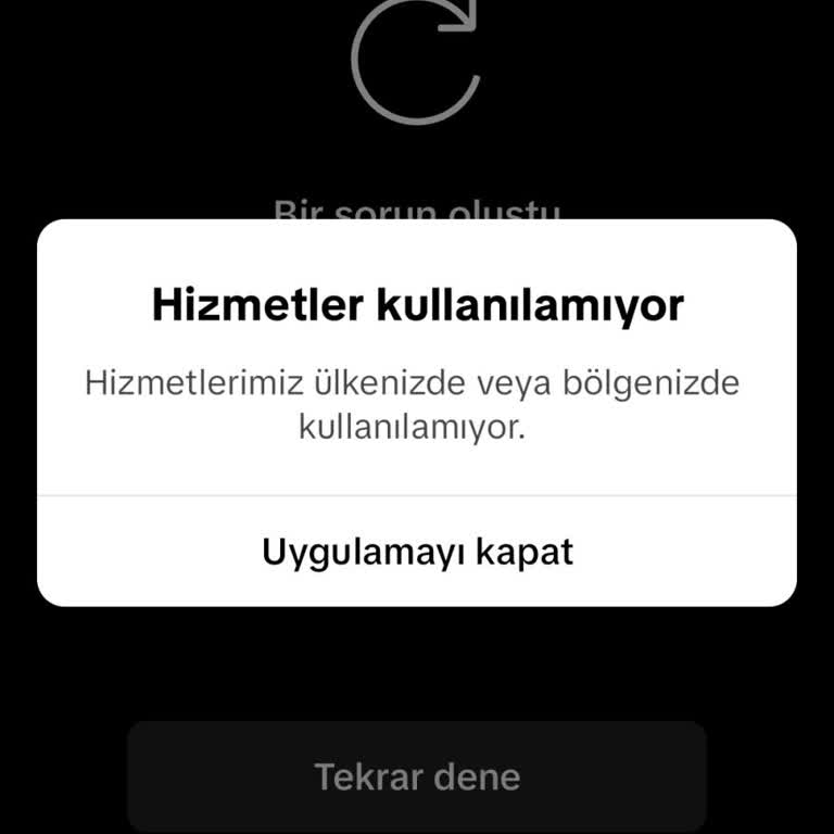 TikTok Lite Hesap Erişim Sorunu