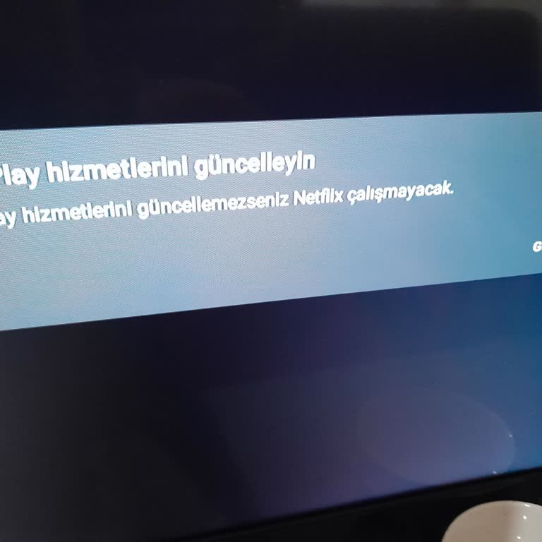 Sunny TV'de Netflix Güncelleme Sorunu