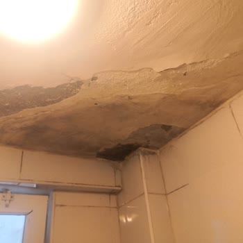 Sigorta Şirketi Mağduriyetimi Gidermiyor: Komik Tazminat Teklifi