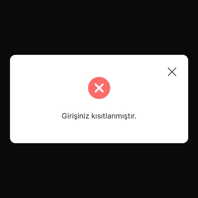 Hesap Erişim Sorunu Ve Yetersiz Destek