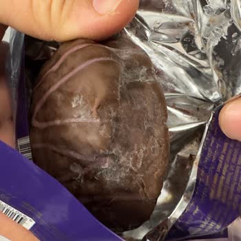 Torku Küflenmiş Kek