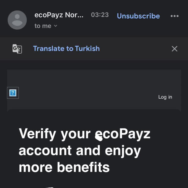 İzinsiz Açılan EcoPayz Hesabı Sorunu