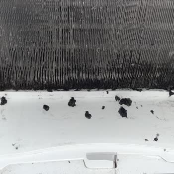 Arçelik Kurutma Makinesi Filtre Sorunu Ve Küflenme