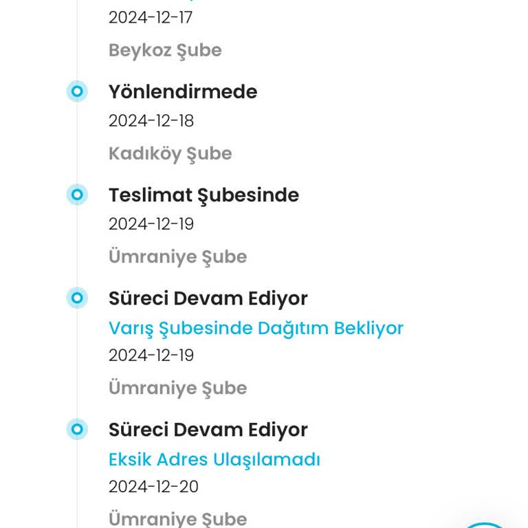 Zara Ve Kargoist İle Teslimat Sorunu