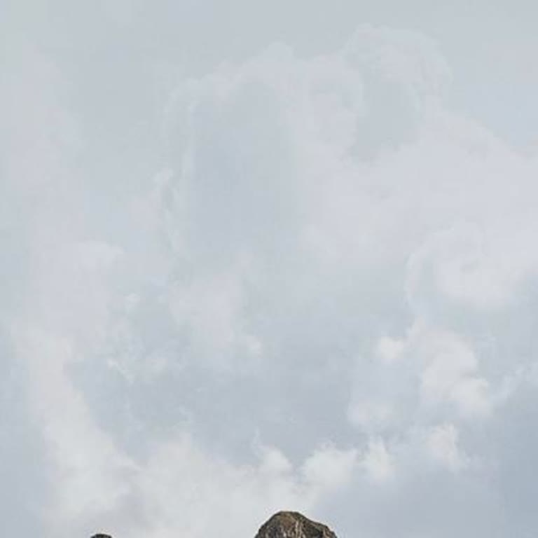 Turkcell Çekim Sorunu: 20 Yıllık Abonelikte Çözülmeyen Sinyal Problemi