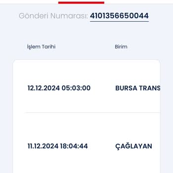 Kargo Teslimatında Gecikme Ve Mağduriyet