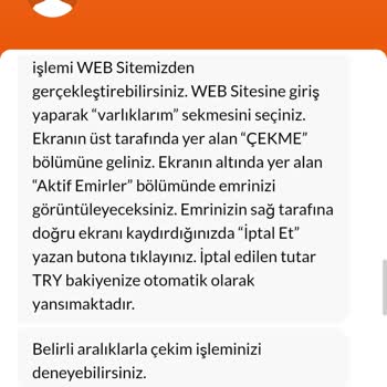 Bitçi'de Paramı Çekemiyorum: Teknik Sorunlar Ve İletişim Problemleri