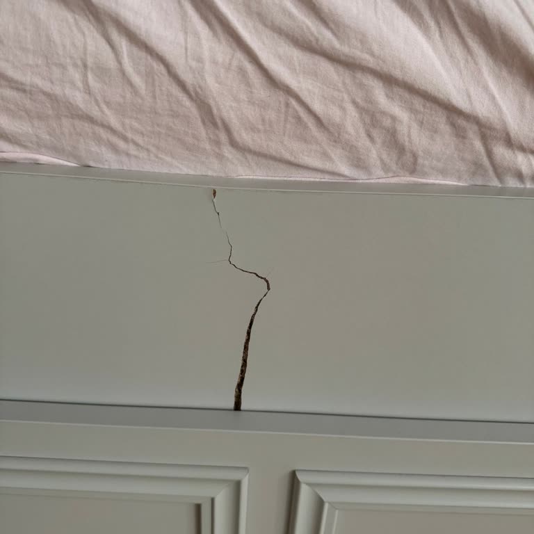 Kelebek Mobilya'nın Garanti Sorunu