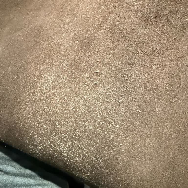 Divarese Mağazasında Ürün Kalitesi Ve Müşteri Hizmeti Hayal Kırıklığı