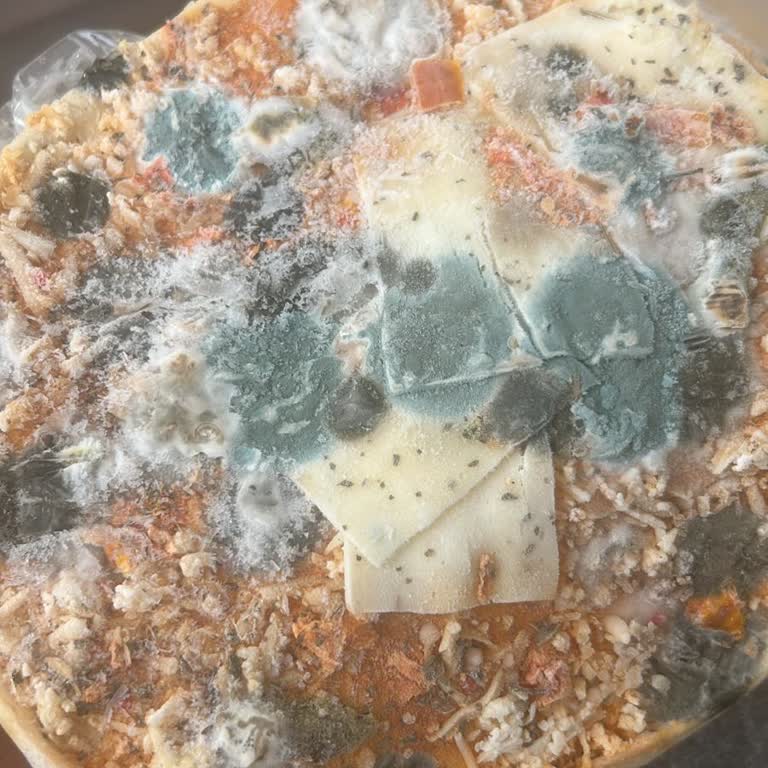 Küflü Dr. Oetker Pizza Şoku