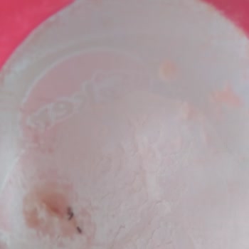 Yeni Açılan Mağazada Böcekli Un Şoku