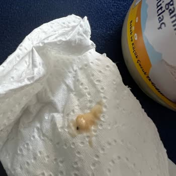 Bebek Ürünlerinde Güven Sorunu: Hipp Sütlaç Deneyimi