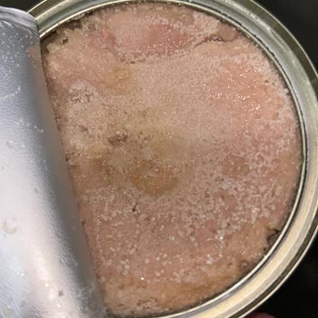 Dardanel Ton Balığı'nda Beklenmedik Beyaz Birikintiler!