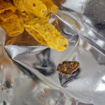 Patos Üründe Bulunan Yabancı Madde İle Yaşanan Sağlık Tehlikesi