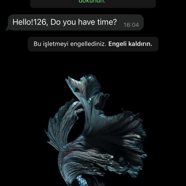 Yabancı Numaralardan Gelen Mesajlar İçin Acil Çözüm İhtiyacı