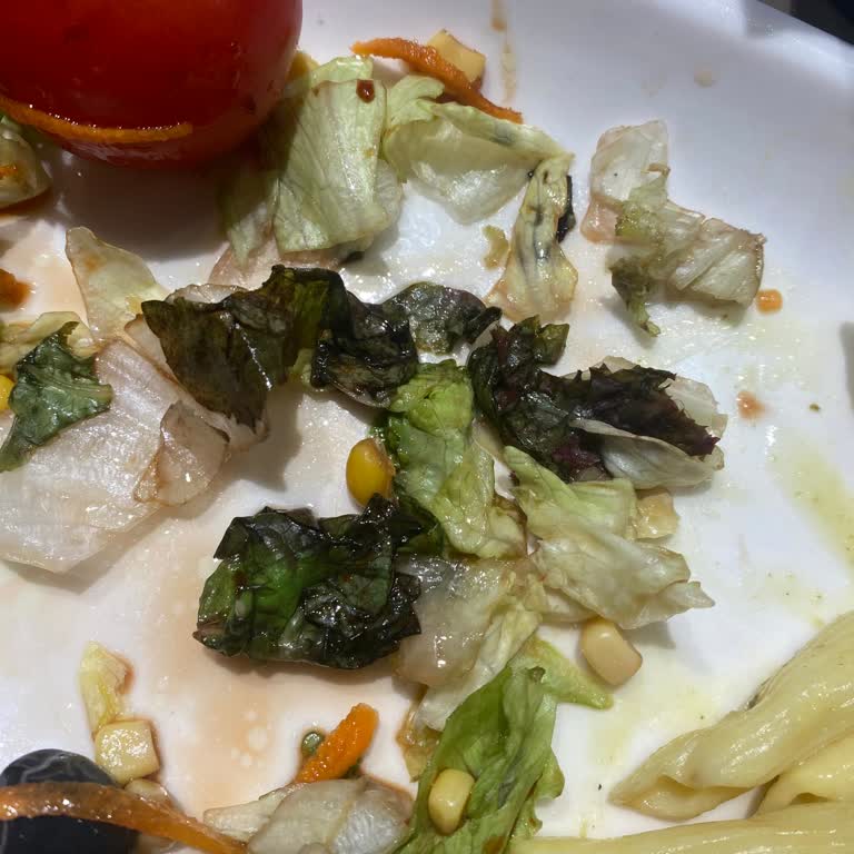 Tavuk Dünyası'nda Sağlığı Tehdit Eden Salata Sorunu