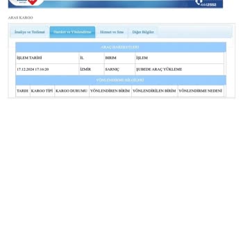 Kargo Çıkmazı: Ürün Teslimatı Sorunu Ve İletişim Eksikliği