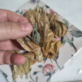 Migros Sanal Market'ten Küflü Ürün Şikayeti