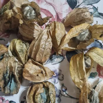 Migros Sanal Market'ten Küflü Ürün Şikayeti