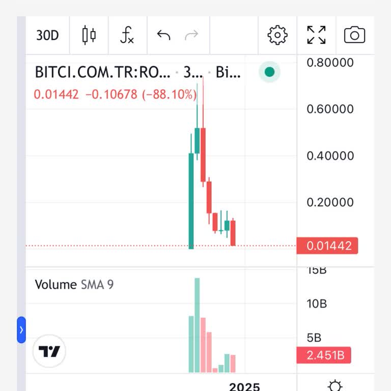 Bitci Rosa Coin'deki Ani Değer Kaybı Hakkında Açıklama Bekliyoruz!