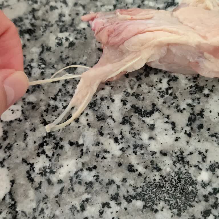 Şenpiliç Kanatlarında Temizlik Sorunu