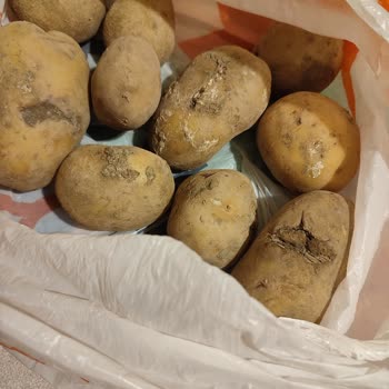 Migros Hemen'den Gelen Çürük Patates Ve Kötü Hizmet