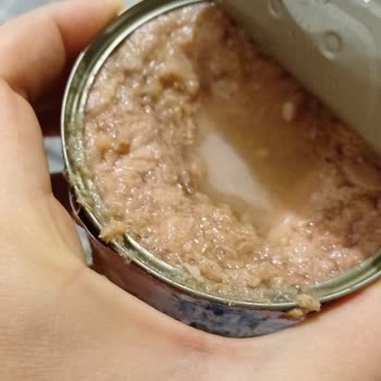 Bozuk Ton Balığı Ürünü Hayal Kırıklığı Yarattı