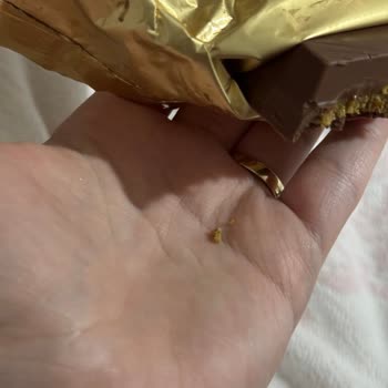 Üst Segment Çikolatada Fıstık Kabuğu Şoku