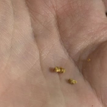 Üst Segment Çikolatada Fıstık Kabuğu Şoku