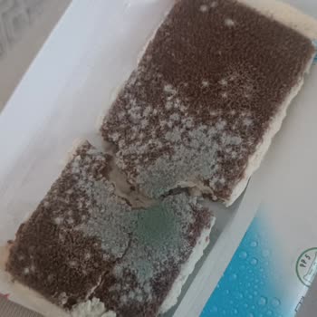 Çocuk Sağlığını Tehdit Eden Küflü Ürün