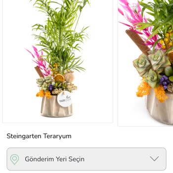 Görseldeki Ürünle Gerçek Ürün Arasındaki Fark