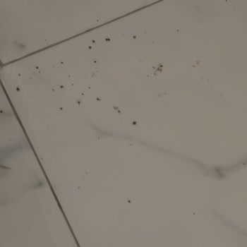 Karadeniz Mühendislik (Balıkesir) Hayal Kırıklığına Uğrattı