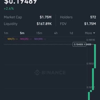 Kayıp Coin Ve Cüzdan Sorunu
