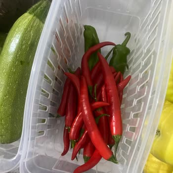 Migros Sanal Market'te Taze Ürün Sorunu Ve Müşteri Hizmetleri Şikayeti