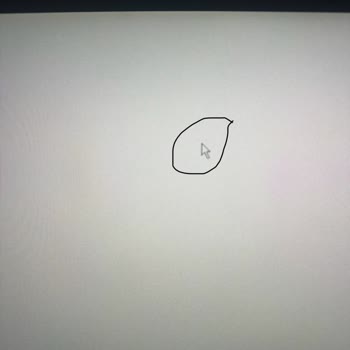 Beta Plus Teknoloji Kusurlu Monitör Ve Yetersiz Destek