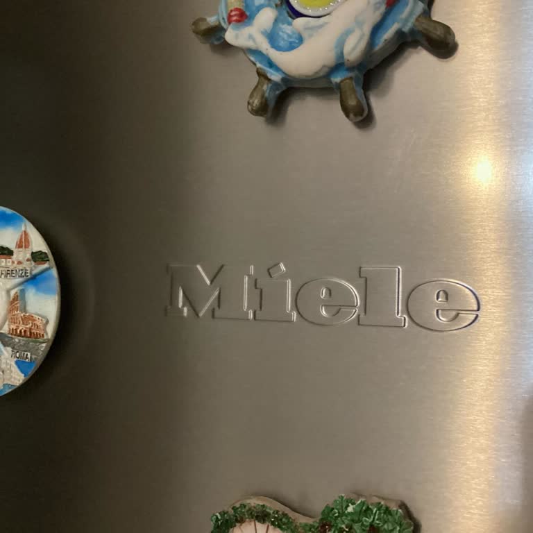 Miele Buzdolabında Gürültülü Motor Ve Servis Ücreti Sorunu