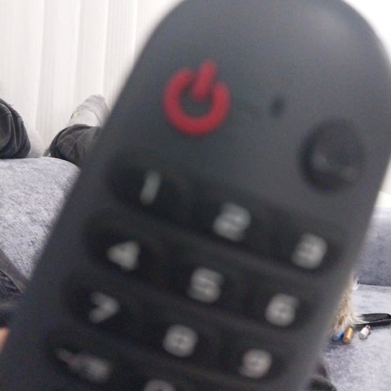 Sunny Kumanda Tuşları Çalışmıyor