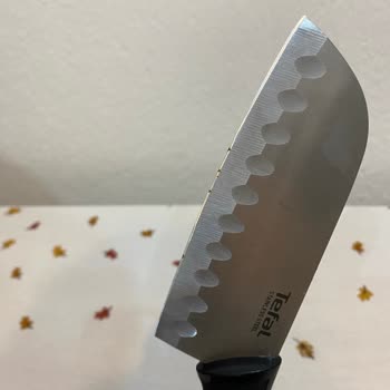 Tefal Paslanmaz Çelik Bıçakta Paslanma Sorunu