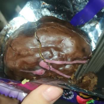 Kekin İçinden Çıkan Sürpriz: Örümcek Ağı Ve Kurt