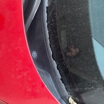 BMW 1 Serisi Cam Fitili Ve Stop Lambası Sorunu