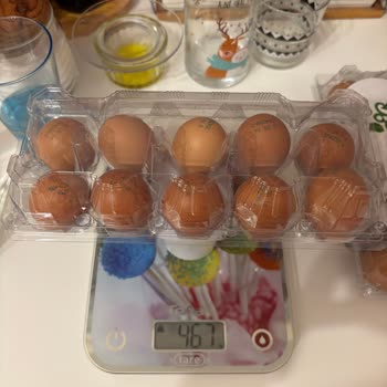 Ali Baba'nın Bahçesi Standartların Altında Yumurta Gönderimi!