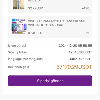 Yatırımıma El Konuldu: Mall Platformunda Büyük Kayıp