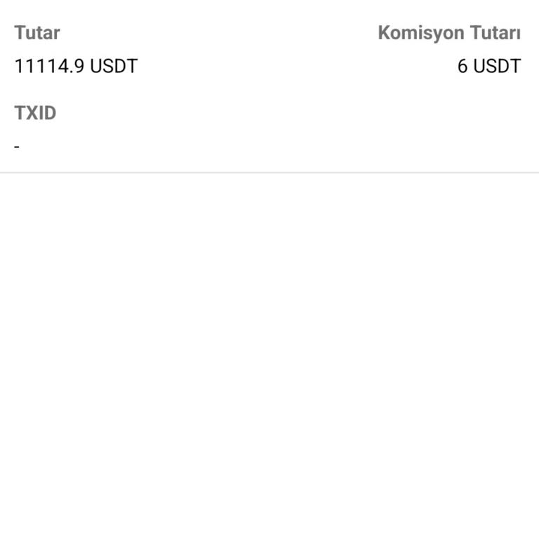 Bitci Borsasında Tether Çekim İşlemi Tıkanıklığı