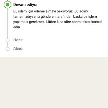 Western Union İle Bekleyen Transfer Sorunu