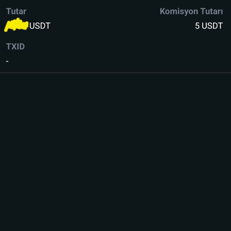 Bitci Borsasında USDT Çekim Gecikmesi Mağduriyet Yaratıyor