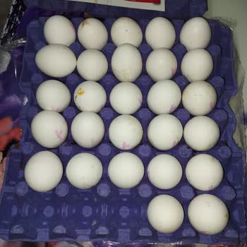 Eksik Yumurta Şoku: Paketleme Hatası