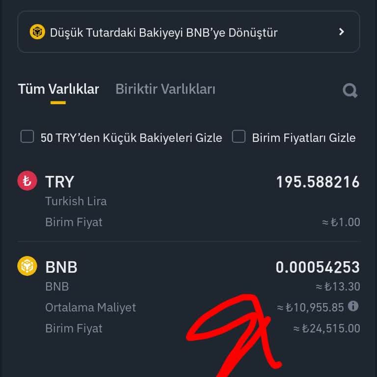 Küsuratları Kendi Coinine Dönüştüren Saçma Uygulama